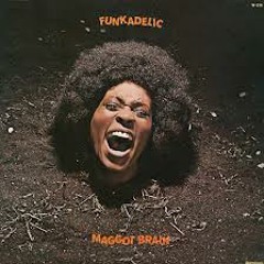 Funkadelic -Maggot Brain