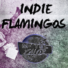 Motel Calor - Indie Flamingos