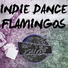 Motel Calor - Indie Dance Flamingos