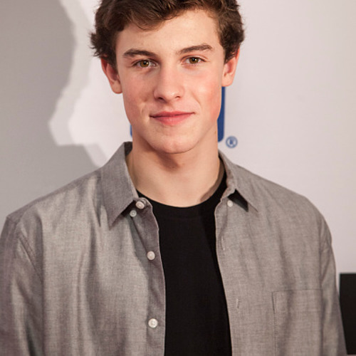 Shawn Mendes - Hallelujah (Empty Arena)