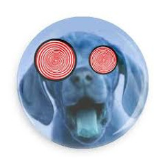 Camals mullats (Versió DnB)