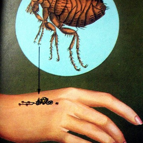 Flea Circus
