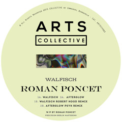 B2 - Roman Poncet - Afterglow Psyk Remix