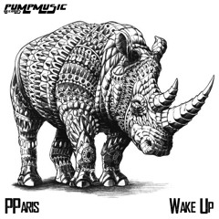 PParis - Wake Up (snippet)