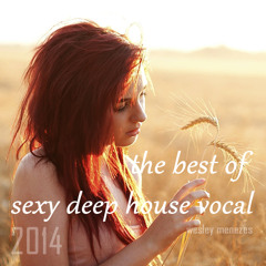 The Best of Sexy Deep House Vocal - 2014 by Wesley Menezes
