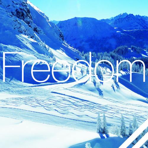 Nyko - Freedom