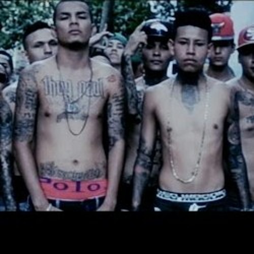 THUG POL // QBA // Perro No Come A Perro 2014