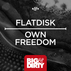 Flatdisk - Own Freedom(original mix)[OUT NOW]