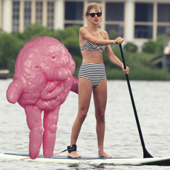 TAYLOR SWIFT: THE PLATINUM EDITION