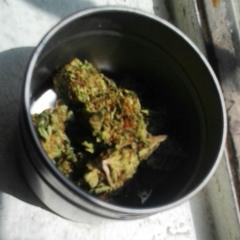 So Whats up - jv3 ft J duckie s at San Diego greenirie