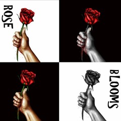 Rose Blooms - (Remastered)