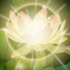 Frederick Alexander Russ compilation