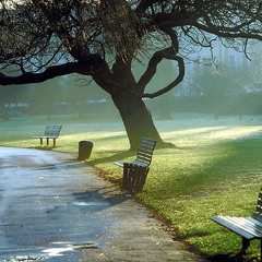 Guia Me Juliana Rosario