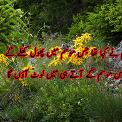 Atta Ullah Khan --تم نے کہا تھا جس موسم میں پھول کھلے گے