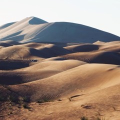 بوابة الريح