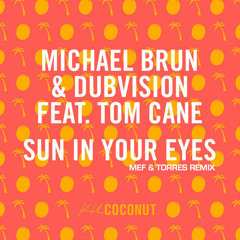 Michael Brun & DubVision Feat. Tom Cane - Sun In Your Eyes (MEF & Torres Remix)