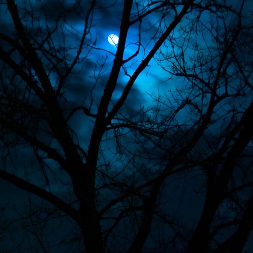 Zefora - The Witching Hour