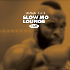 SlowMoloungeVol05byVitamin Disco