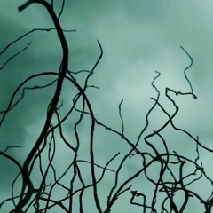 6 O'clock  Cherie Richardson