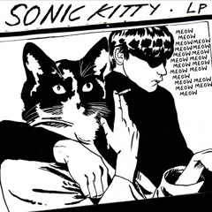 Schizophrenia (Sonic Youth Cover)