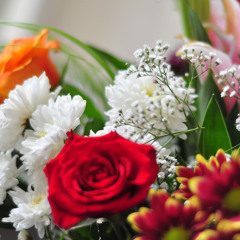 Disco King - Illayraja hits 80's - Cover by Vins & Leppy