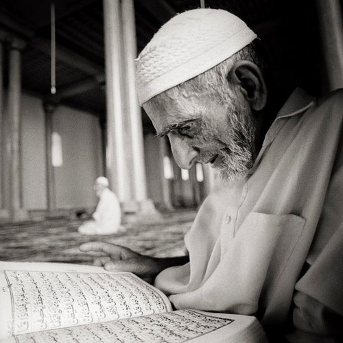 قبيح من الإنسان مشارى العفاسى