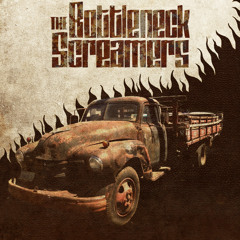 The Bottleneck Screamers - Hey Freak (Swamp Rats cover)