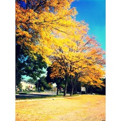 For Fall