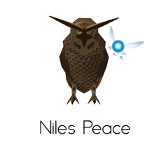 The Legend Of Zelda Owl Theme  FREE DOWNLOAD