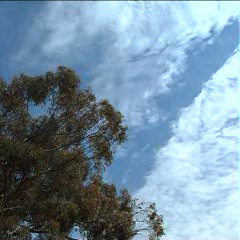 יעלה תחנונינו - 2