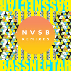 Bassnectar - Noise (PANTyRAiD Remix)