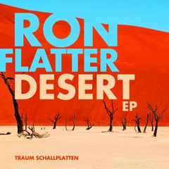 Ron Flatter - Desert (Microtrauma Remix) // Traum