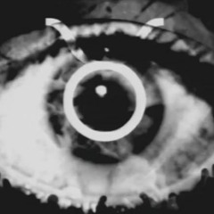 Disorder & Order X SansCulotte: Damages Of Second Attack