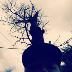 Cold