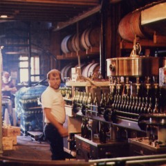 Crosstown Traffic (Cover)