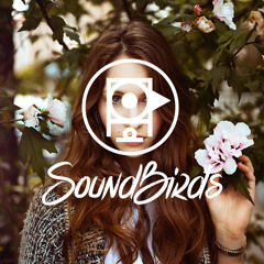 Florence feat. The Machine - You've Got The Love (Dennis Kruissen Remix)