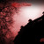 Artwork for Incipiens