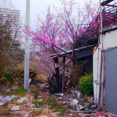 Watching Spring Disappear / 逝く春を