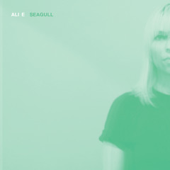 Ali E  Seagull