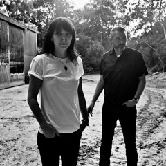 The Woods - Sally Megee