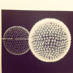 FIREC013LP Linkwood - Expressions