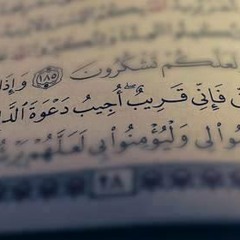 مقطع للشيخ محمد الليثي من سوره الاحزاب في الندوه