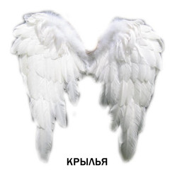 Крылья
