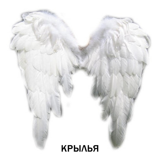 Крылья