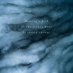 Naviarhaiku042- Missing a kick