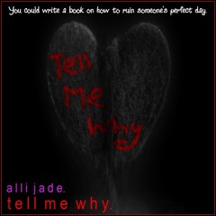 Tell Me Why (Taylor Swift cover)