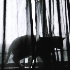 The Seasick Halloween Mixtape