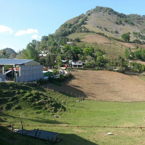 Los autenticos de hidalgo