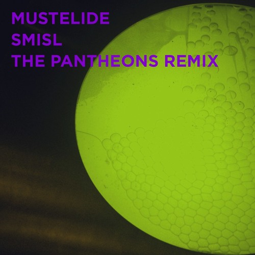 Mustelide - Smisl (The Pantheons Remix)