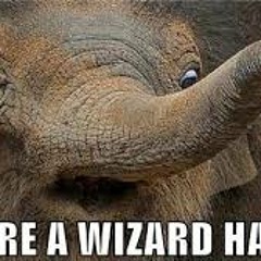 You're a Wizard Harry